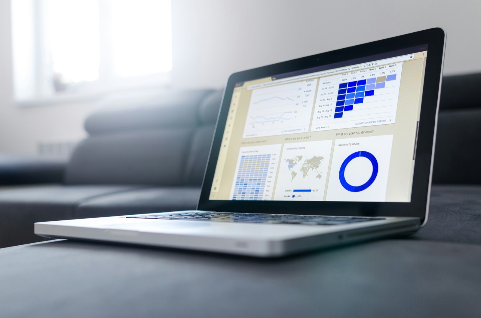 Cohort data analysis (LTV - CAC) - SaaS — preview